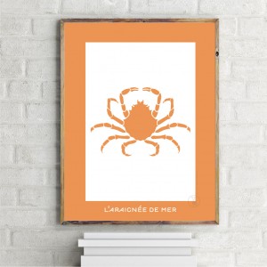 Spider Crab Poster